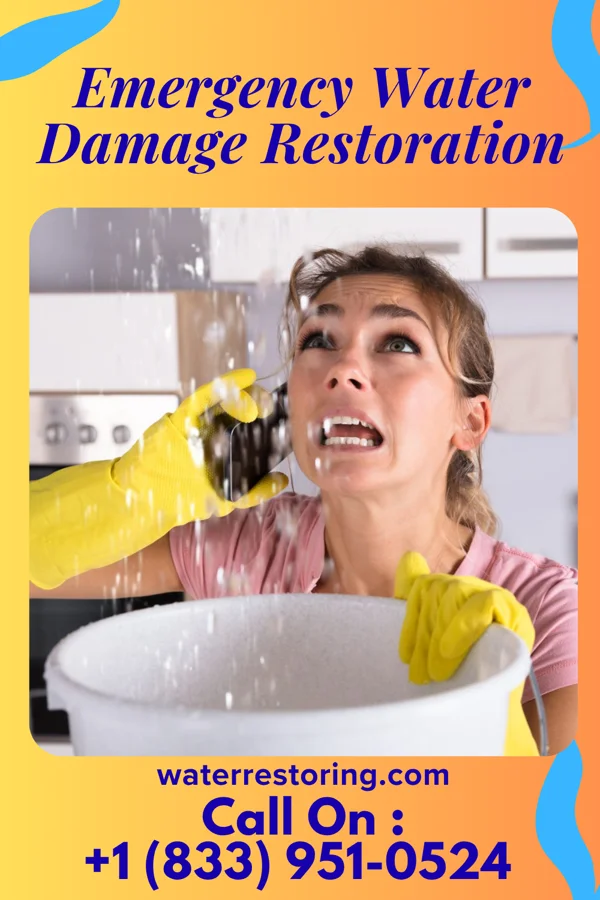 Emergency Water Damage Restoration in New Holland, IL